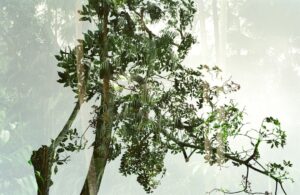 Kapsels 50plus met bril: stijlvol en fris tegelijk