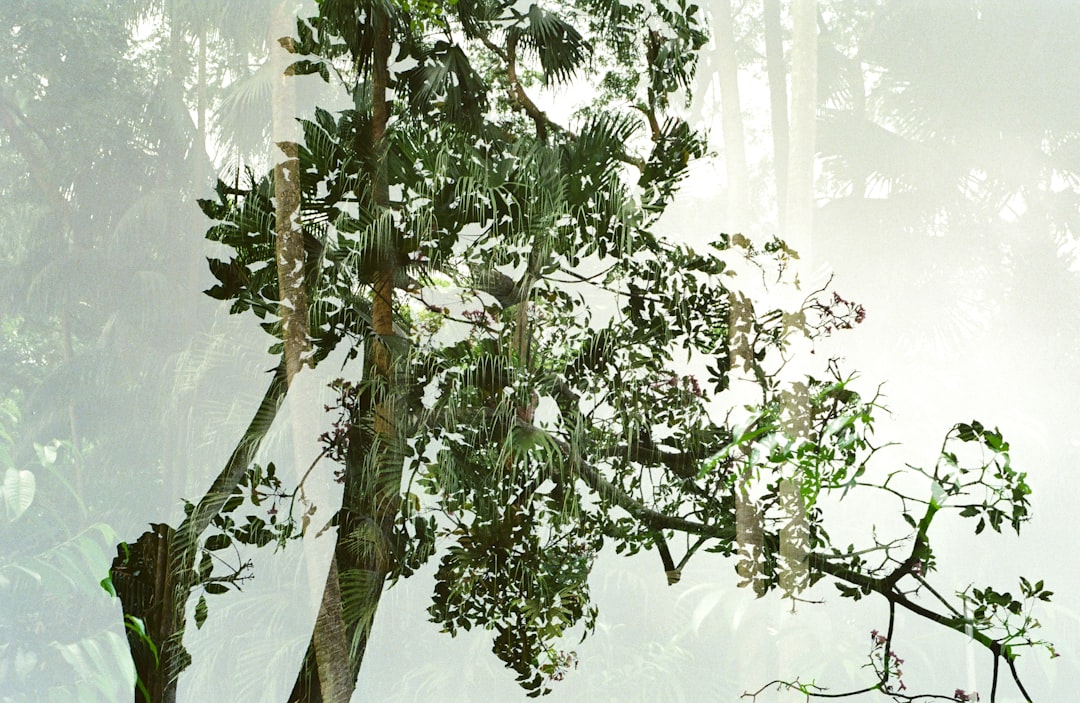 Kapsels 50plus met bril: stijlvol en fris tegelijk