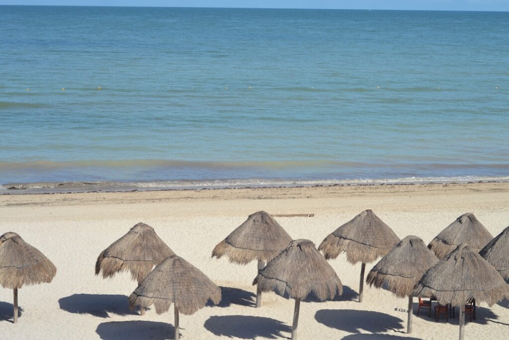 Vakanite: Een bijzondere vakantie-ervaring voor het hele gezin